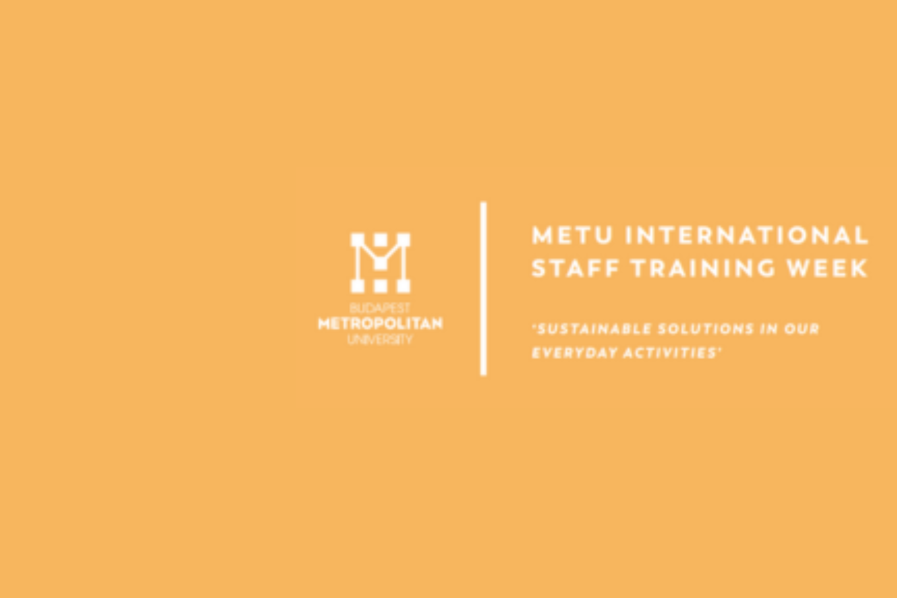 METU International staff training week