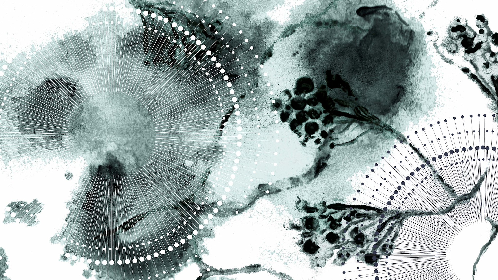 Sikeresen lezajlott a Tudományos Diákköri Konferencia a METU Művészeti és Kreatívipari Karán