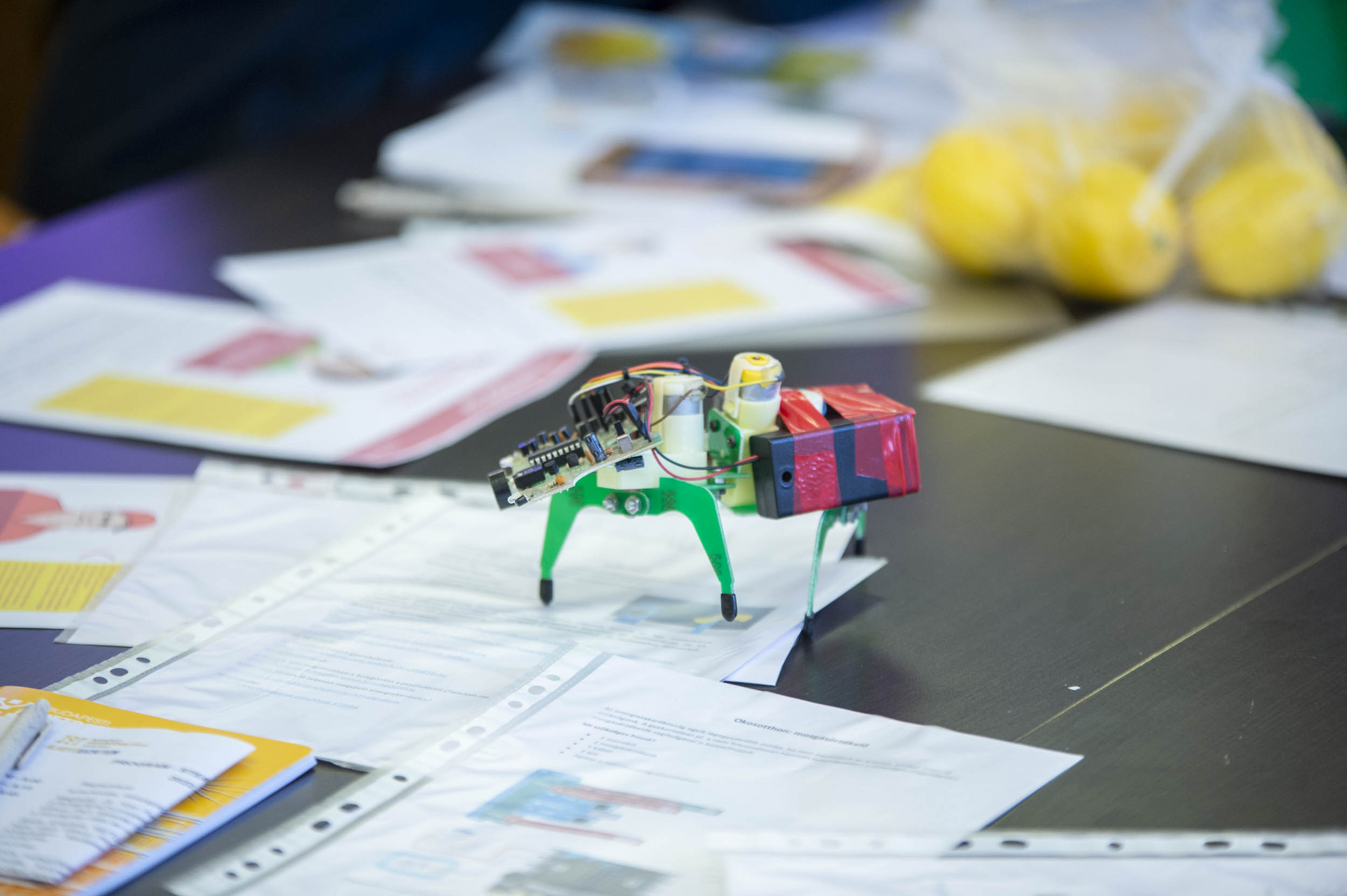 The STEAMTeach project at METU has been successfully completed